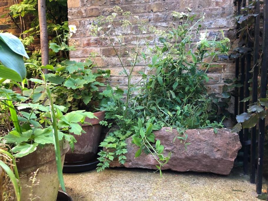 Kings Cross, Self-Contained House & Private Garden Londres Exterior foto